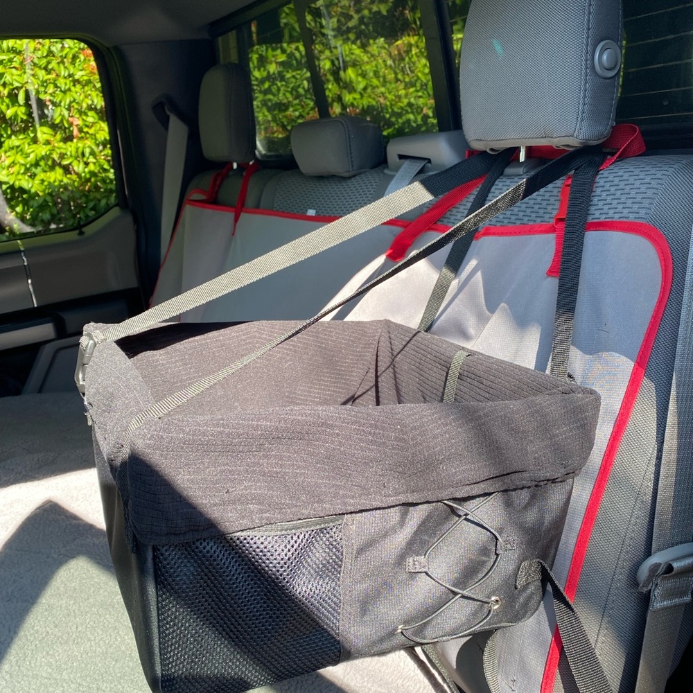 Pet car booster seat